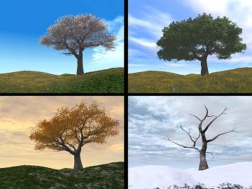 Four_Seasons