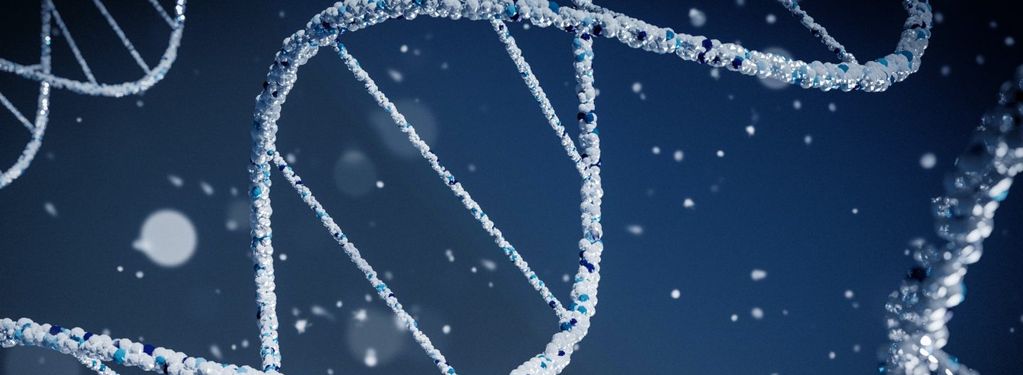 Artificial Intuition